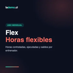 Flex · uso mensual
